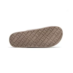 Freedom Moses Slides><noscript><img width=