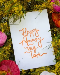 Studio Y Creative Cards><noscript><img width=