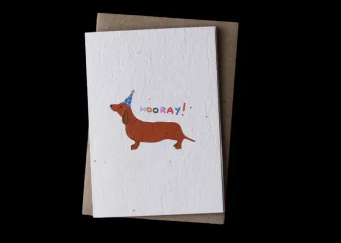 Hello Petal Cards>Hooray! Plantable Card