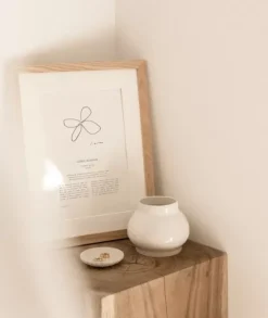 Sunday Lane Homewares><noscript><img width=