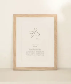 Sunday Lane Homewares><noscript><img width=