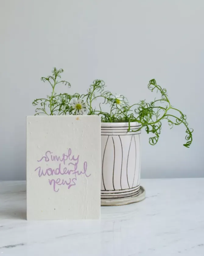 Studio Y Creative Cards>Wonderful News Card